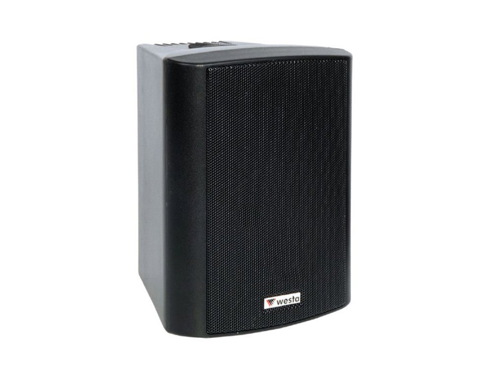 WS-5TB - 5,25"  125W 16Ohm/100v - Kabin Hoparlör - IP65 - Siyah