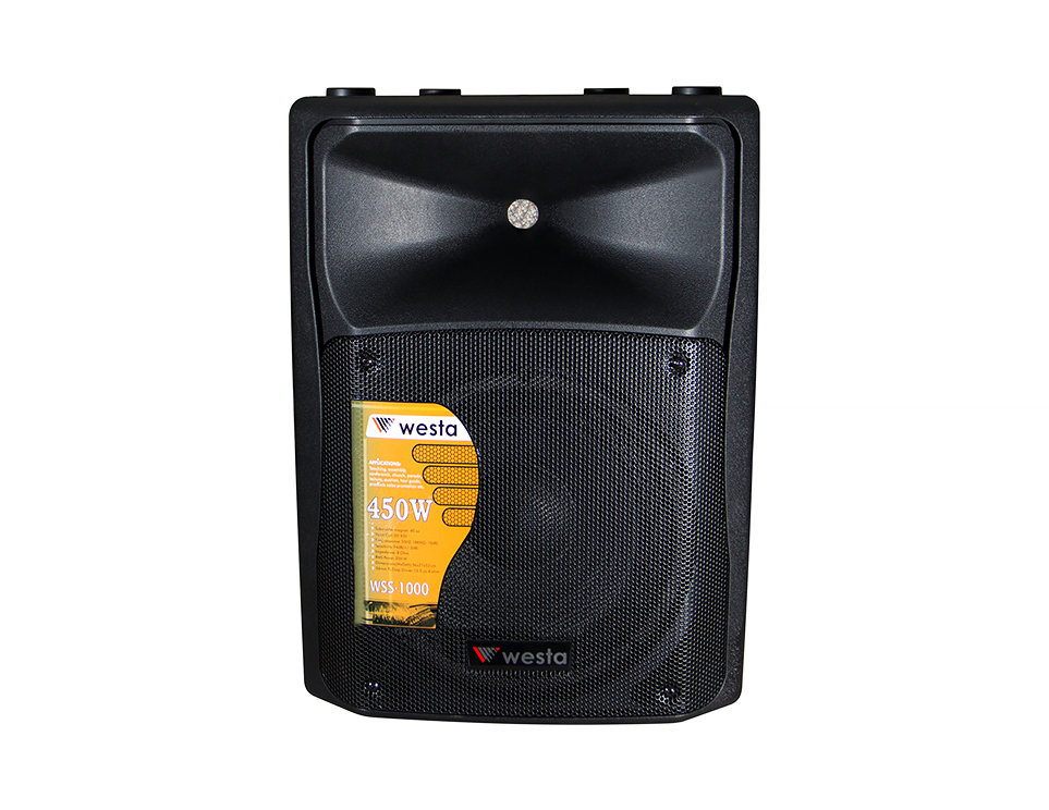 WSS-1000 - 10" Kabin Hoparlör - Pasif