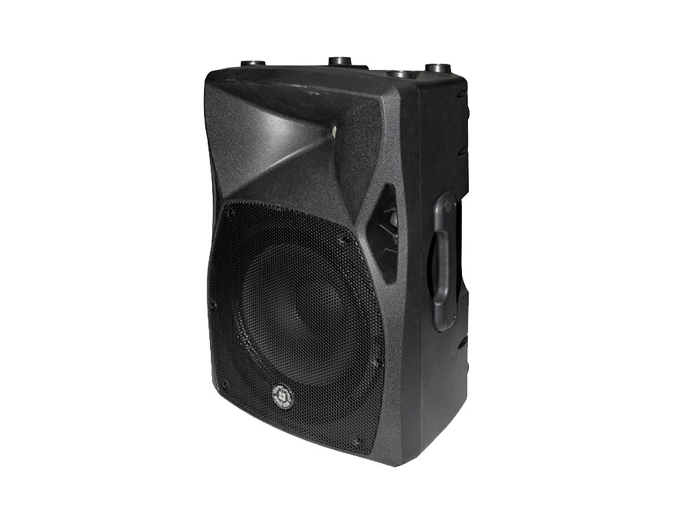 X10   10" Pasif Kabin Hoparlör 120/480 Watt