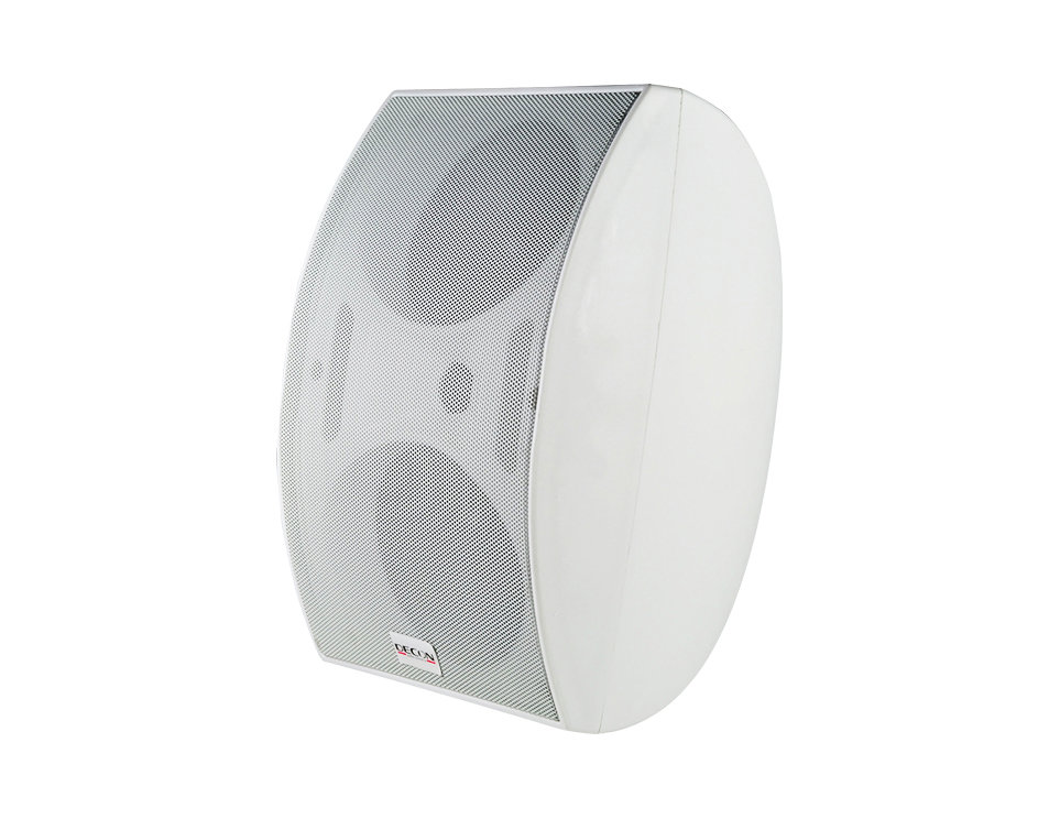 DS-62DW - 2X5" 30W-15-7.5W 8OHM Duvar Tipi Hoparlör - Beyaz