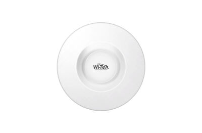 Wi-Tek - WI-CPE515H-KIT - 5.8G 8KM 300M Wireless Kablosuz Aktarıcı